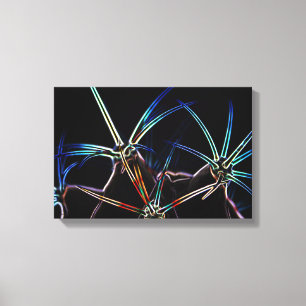 Cactus 1 16.50x11 (41.25x27.5cm) waccna canvas print
