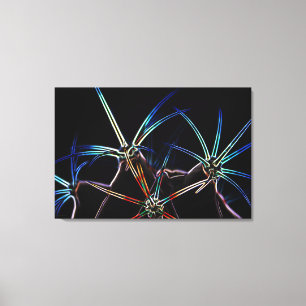 Cactus 1 36x24 (90x60cm) waccn canvas print