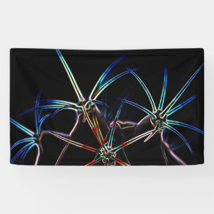 Cactus 1 bnrcnm banner