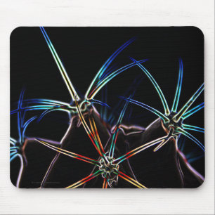 Cactus 1 mpcn mouse pad