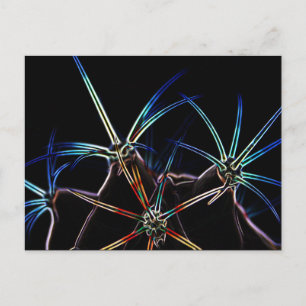 Cactus 1 pccna postcard