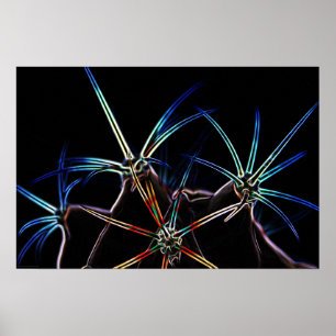 Cactus 1 wapcn poster