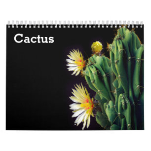 Cactus 2025 calendar