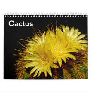 Cactus 2026 calendar