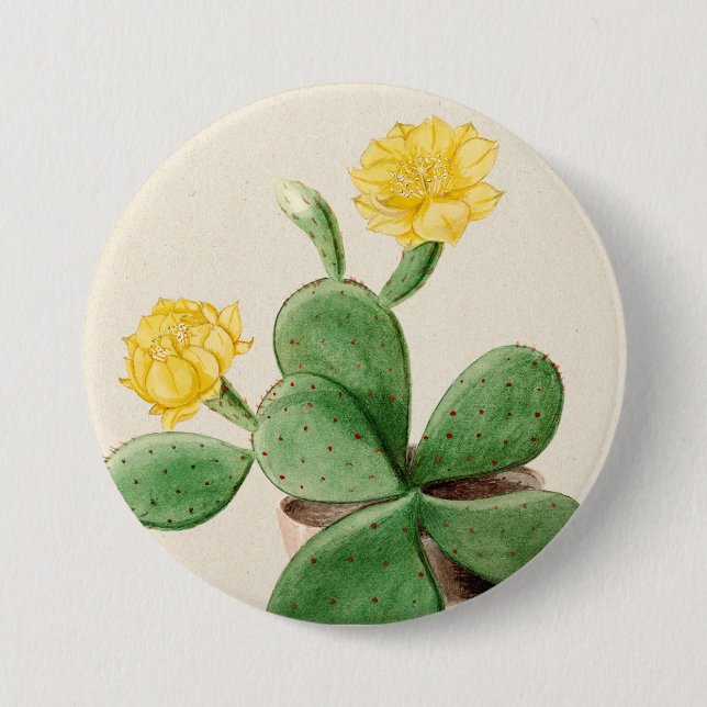 Cactus 2 7.5 cm round badge (Front)