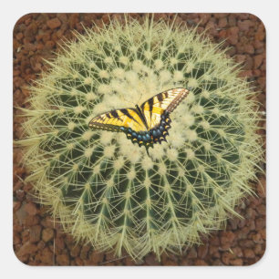 Cactus and butterfly square sticker