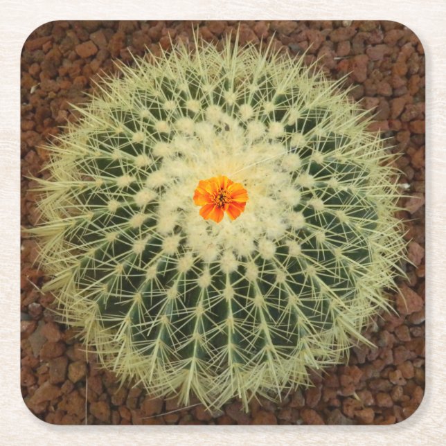 Cactus  and Flower Square Paper Coaster (Front)