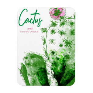 Cactus And Succulents Magnet