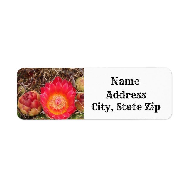 Cactus Bloom Bright Pink Flower Desert Address (Front)
