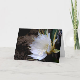 Cactus Bloom Card