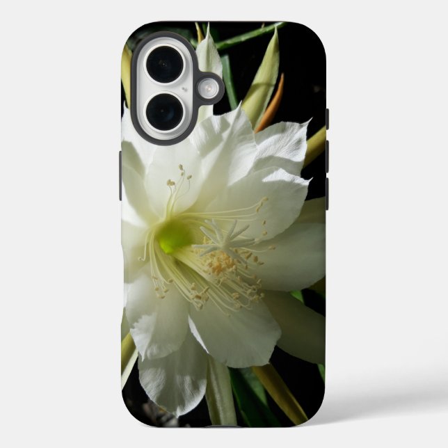 Cactus Bloom Case-Mate iPhone Case (Back)