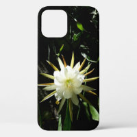 Cactus Bloom
