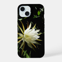 Cactus Bloom