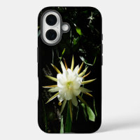 Cactus Bloom