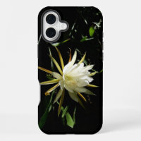 Cactus Bloom