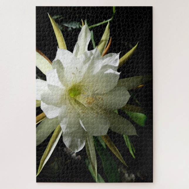 Cactus Bloom Jigsaw Puzzle (Vertical)
