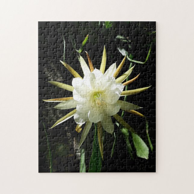 Cactus Bloom Jigsaw Puzzle (Vertical)