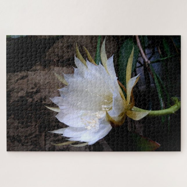 Cactus Bloom Jigsaw Puzzle (Horizontal)