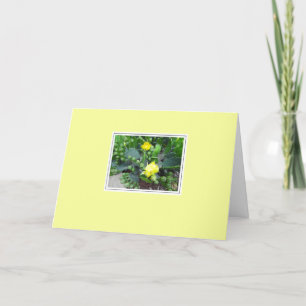 Cactus Blooms on Yellow Blank Greeting Card
