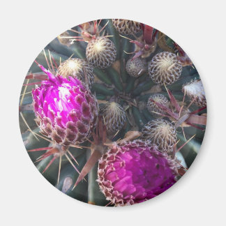 Cactus blossom magnet