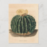 Cactus Botanical Illustration from 1841