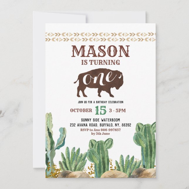 Cactus Buffalo Desert Birthday Invitation (Front)