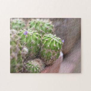 Cactus Cacti Flower Nature Photography Garden Jigsaw Puzzle