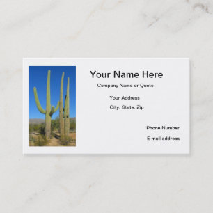 Cactus Cards