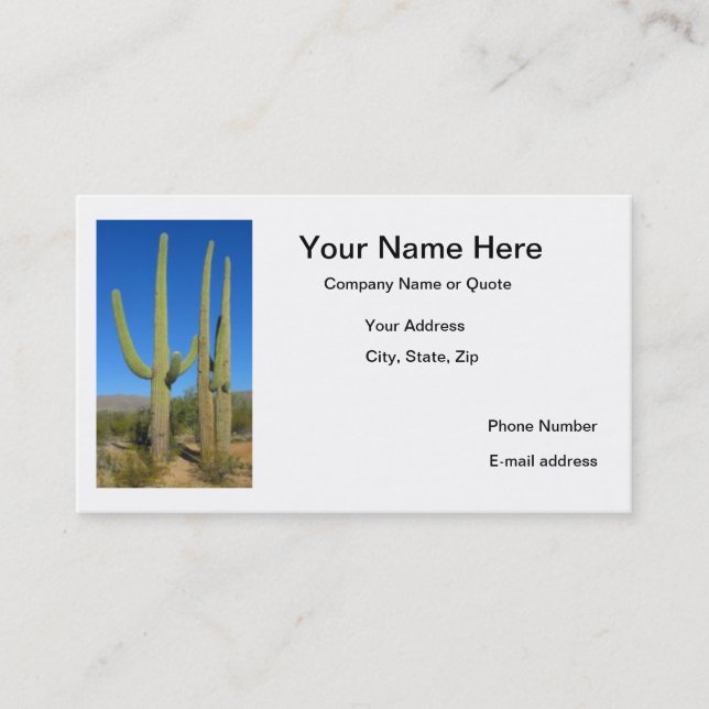 Cactus Cards (Front)