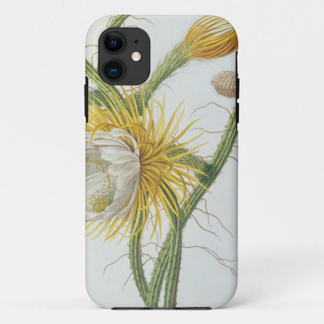 Cactus: Cereus, from Trew's 'Plantae Selectae' 175 Case-Mate iPhone Case (Back)