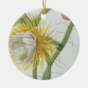 Cactus: Cereus, from Trew's 'Plantae Selectae' 175 Ceramic Tree Decoration