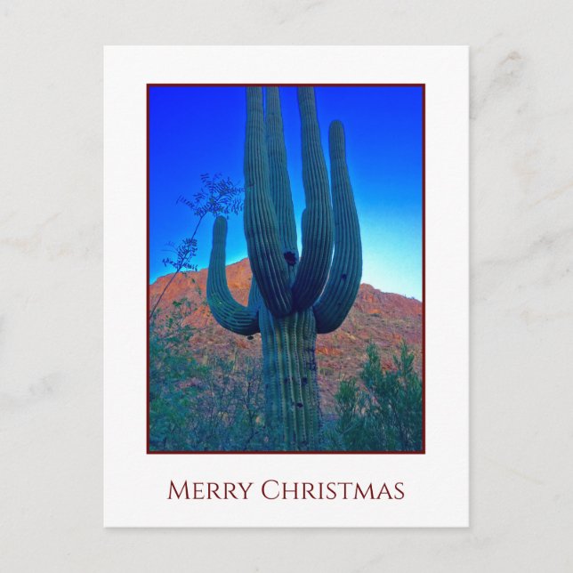 Cactus Christmas  Holiday Card (Front)