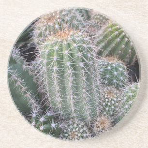 Cactus Coaster