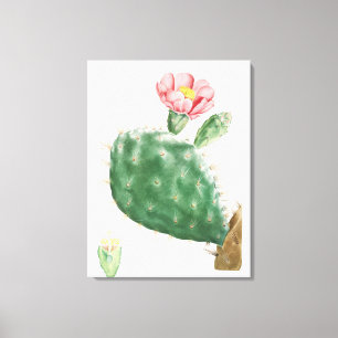 Cactus Cochenillifer, Antique Illustration, 1799 Canvas Print