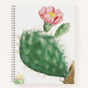 Cactus Cochenillifer, Antique Illustration, 1799 Notebook