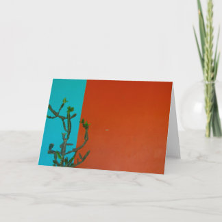 cactus colours card
