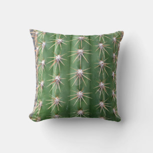 Cactus Cushion