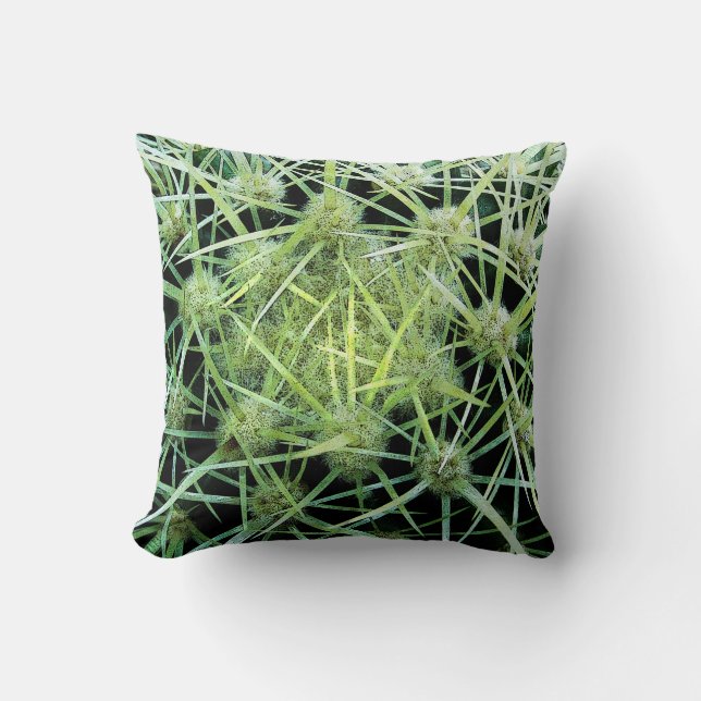 Cactus Cushion (Front)