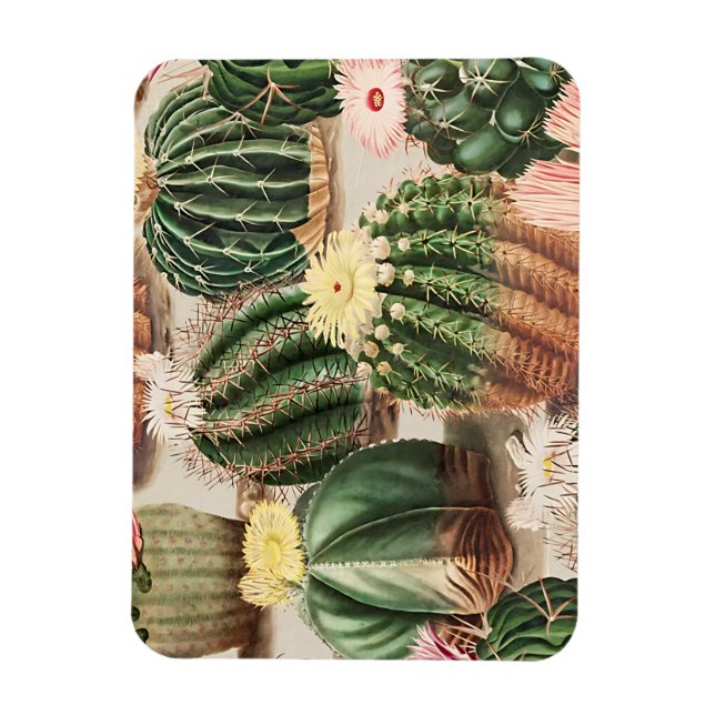 Cactus Design Flexible Photo Magnet (Vertical)