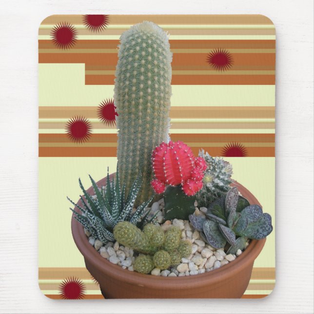Cactus Dish Garden #2 Mouse Pad (Front)