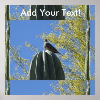 Cactus Dove Poster