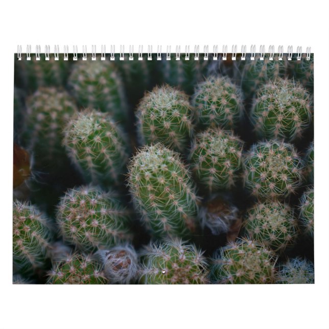 Cactus Family Calendar (Cover)