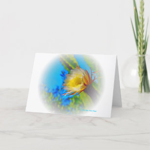 “Cactus Flower #73 Fade” Print Card