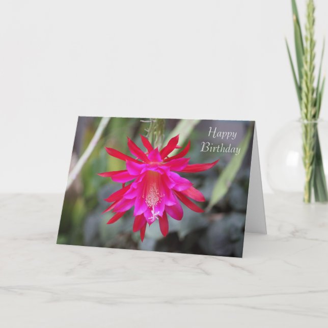 Cactus flower Birthday Card (Front)