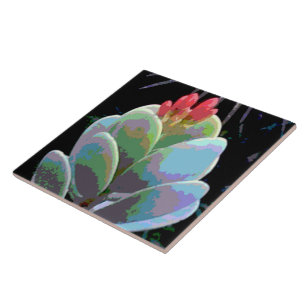 Cactus Flower Buds Tile