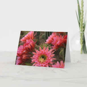 Cactus flower card