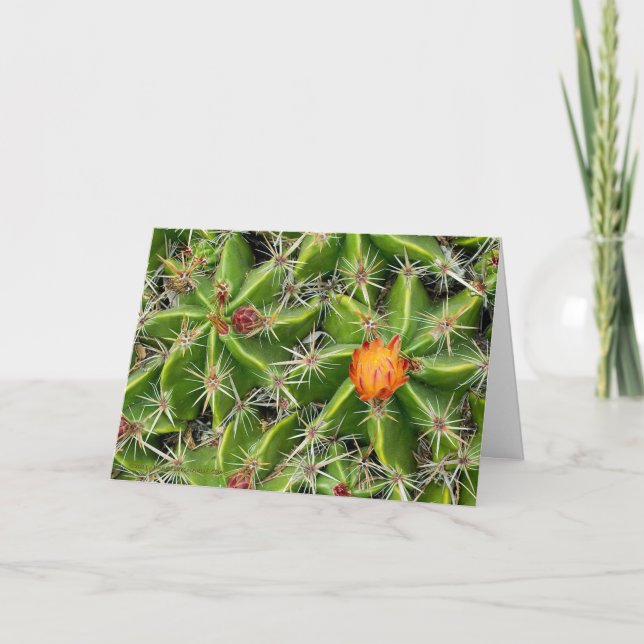 Cactus Flower Card - Customise Greeting (Front)