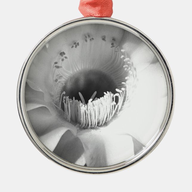 Cactus Flower in Black and White #succulent Metal Tree Decoration (Front)