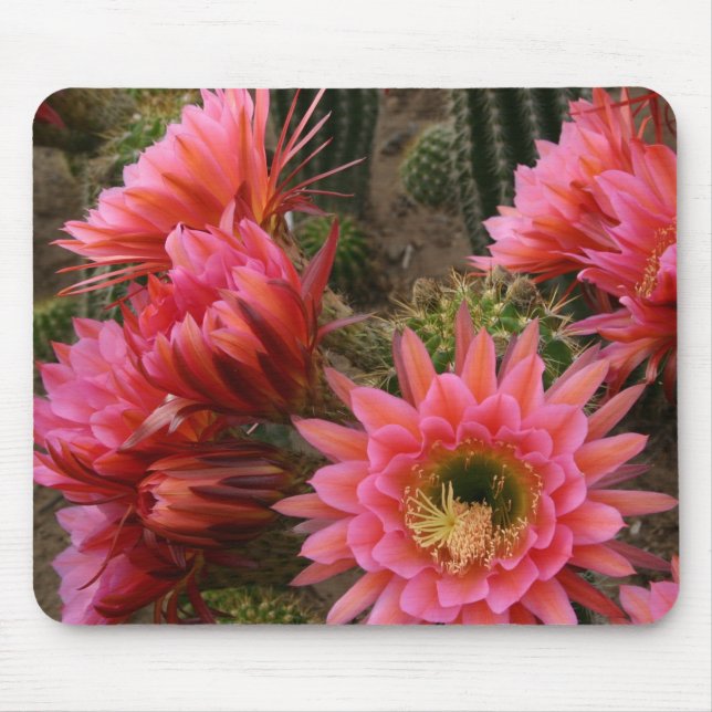 Cactus flower mousepad (Front)
