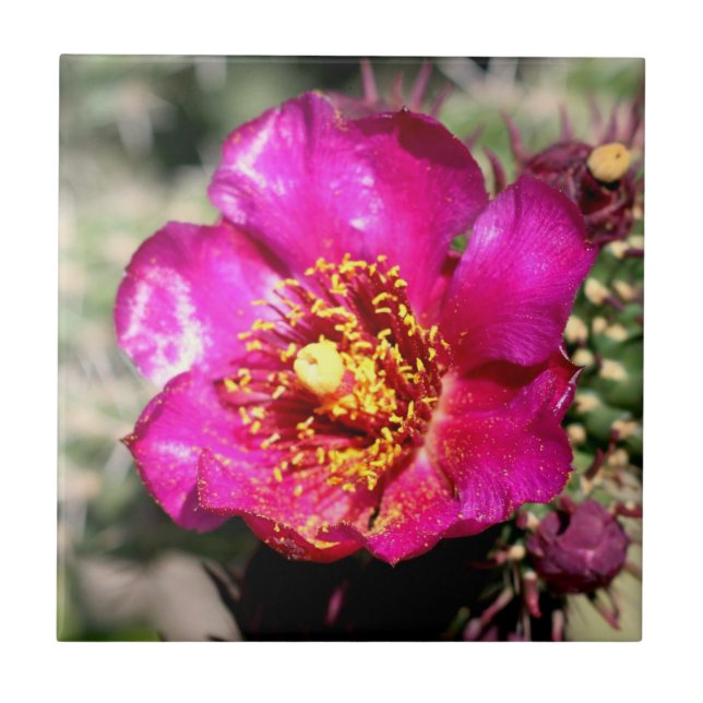 cactus flower tile (Front)